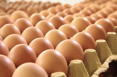 衢州鸡蛋检测价格,鸡蛋检测机构,鸡蛋检测项目,鸡蛋常规检测